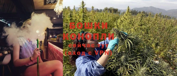хмурый Мегион