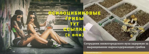 хмурый Мегион