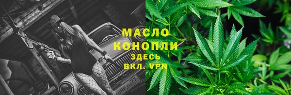 гидропоника Медногорск