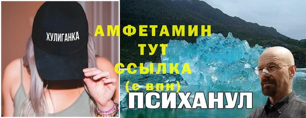 хмурый Мегион