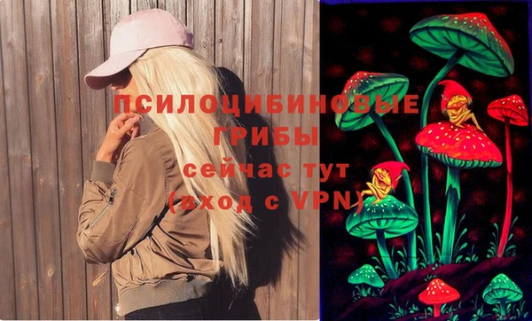 хмурый Мегион