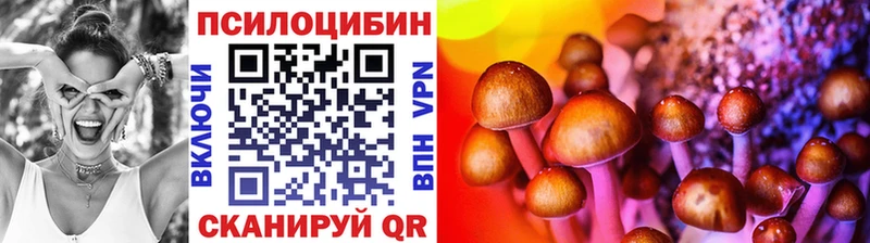 kraken вход  Домодедово  Галлюциногенные грибы Cubensis 